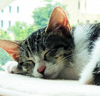 Little nap. 