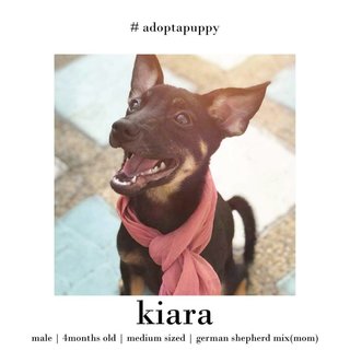 Lovely Kiara (Female)