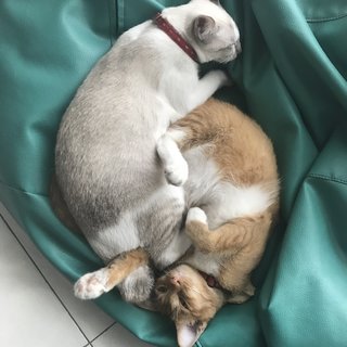 Always sleep together 
