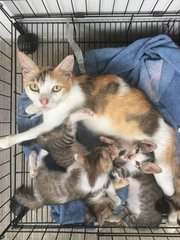 Honey is such a good mama to her babies!