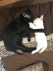 They love each other 