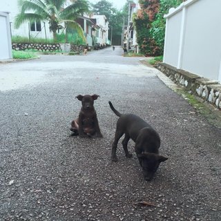 Playful sisters