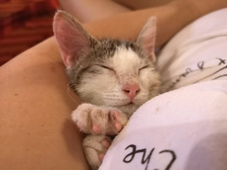 I love to sleep in your armpit!