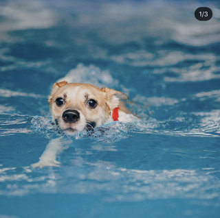 Her first swim