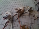 Updates On 7th Jun 2012