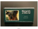 MONGRELS OF THE WORLD CALENDAR 2013 NOW AVAILABLE….