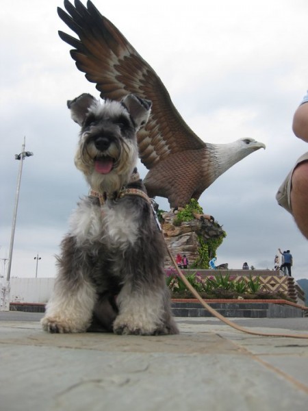 Kopi and the Eagle! :) At Lang Square