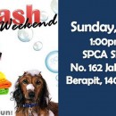 Dog Wash Weekend, Dec 29th 2013