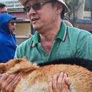 Donate Pet Food For Flood Relief Efforts