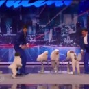 Olate Dogs – Winner Of America’s Got Talent 2012