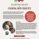 Workshop: Starting Right Is Essential With Your Pet